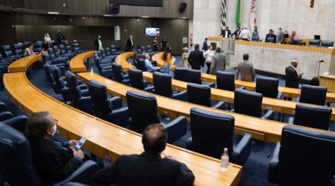 O vereador Rubinho Nunes (União Brasil), autor do projeto, afirmou que o objetivo é ‘resguardar a língua portuguesa no âmbito da gestão municipal’ de São Paulo | Foto: Afonso Braga/Câmara Municipal de São Paulo