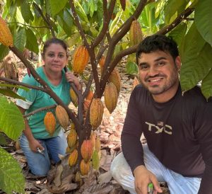 Animados com o potencial econômico, produtores chegam cada vez mais a São Paulo em busca de resultados por meio do cultivo de cacau | Foto: Divulgação/Governo de SP