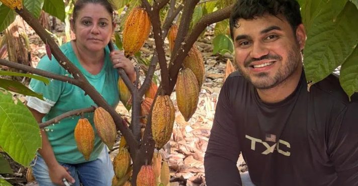 Animados com o potencial econômico, produtores chegam cada vez mais a São Paulo em busca de resultados por meio do cultivo de cacau | Foto: Divulgação/Governo de SP