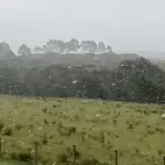 Frio e neve no Rio Grande do Sul | Foto: Reprodução/Redes sociais