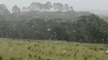 Frio e neve no Rio Grande do Sul | Foto: Reprodução/Redes sociais