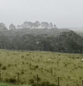 Frio e neve no Rio Grande do Sul | Foto: Reprodução/Redes sociais