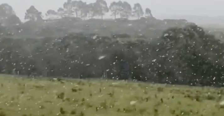 Frio e neve no Rio Grande do Sul | Foto: Reprodução/Redes sociais