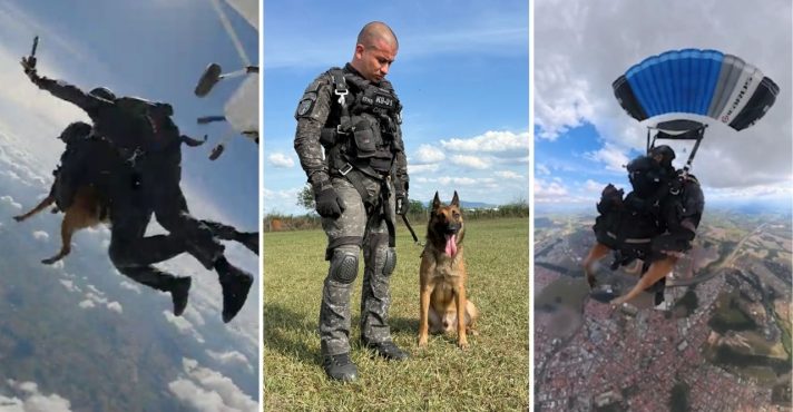 Cão policial foi primeiro a saltar de paraquedas em Boituva (SP) | Foto: Reprodução/Secretaria de Segurança Pública de São Paulo