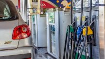 Gasolina