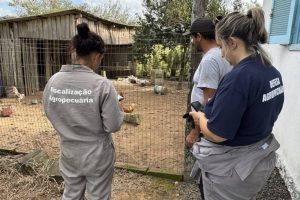 Ciente do vencimento dos kits, governo tentou acelerar distribuição, mas agentes estaduais rejeitaram proposta | Foto: Divulgação/Gov.br