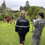 Agentes durante inspeção sanitária em propriedade rural na cidade de Montenegro, a 60 km de Porto Alegre (RS) | Foto: Reprodução/Twitter/X