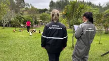 Agentes durante inspeção sanitária em propriedade rural na cidade de Montenegro, a 60 km de Porto Alegre (RS) | Foto: Reprodução/Twitter/X