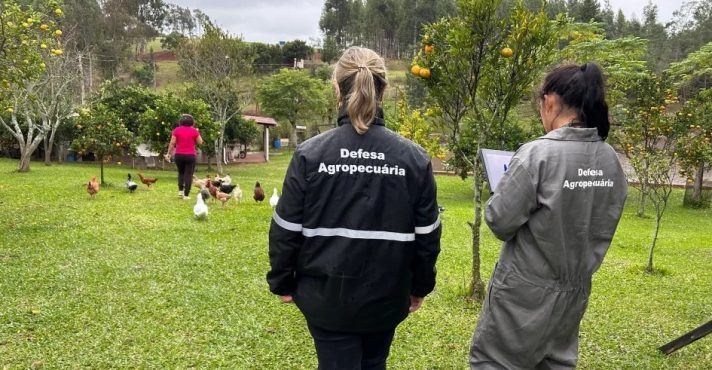 Agentes durante inspeção sanitária em propriedade rural na cidade de Montenegro, a 60 km de Porto Alegre (RS) | Foto: Reprodução/Twitter/X