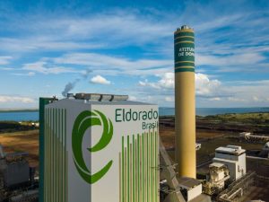 J&F Paper Excellence Eldorado fim do conflito Justiça Cade