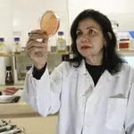 Mariangela Hungria - embrapa soja - premio nobel de agricultura