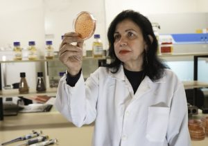 Mariangela Hungria - embrapa soja - premio nobel de agricultura