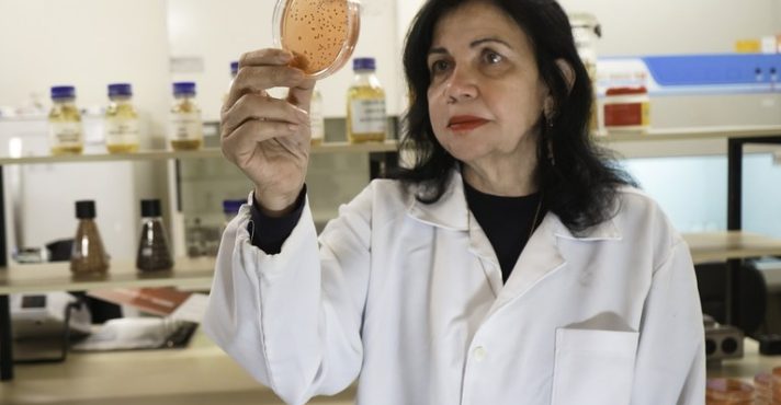 Mariangela Hungria - embrapa soja - premio nobel de agricultura