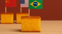 Com bandeirinhas fincadas nos pedaços de bolo, a vereadora catarinense comparou a carga tributária de cinco países — Noruega, China, Estados Unidos, Chile e Brasil | Foto: Divulgação/Oeste | Imagem gerada com o auxílio de inteligência artificial