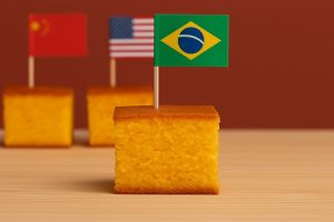 Com bandeirinhas fincadas nos pedaços de bolo, a vereadora catarinense comparou a carga tributária de cinco países — Noruega, China, Estados Unidos, Chile e Brasil | Foto: Divulgação/Oeste | Imagem gerada com o auxílio de inteligência artificial