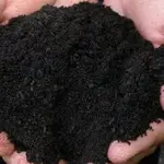 algas marinhas viram adubo - a força do agro