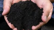 algas marinhas viram adubo - a força do agro