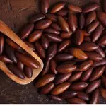 castanha de baru - a força do agro