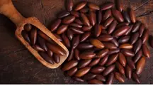 castanha de baru - a força do agro