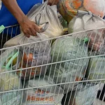 A inflação dos alimentos pesa mais para as famílias vulneráveis, diz o estudo | Foto: Reprodução/Agência Brasil