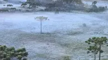 Geada em São Joaquim (SC) antes da neve, na quinta-feira 29 | Foto: Mycchel Legnaghi/Agência São Joaquim Online/Divulgação