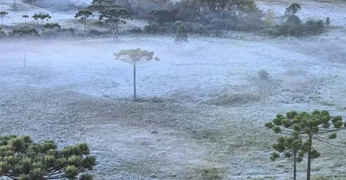 Geada em São Joaquim (SC) antes da neve, na quinta-feira 29 | Foto: Mycchel Legnaghi/Agência São Joaquim Online/Divulgação