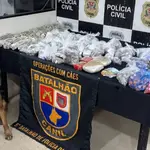 Cão policial Machi é treinado para farejar drogas | Foto: SSP-SP/Divulgação