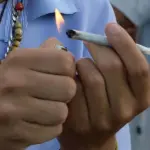 maconha consumo risco artaque cardíaco estudo
