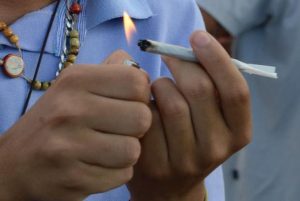 maconha consumo risco artaque cardíaco estudo
