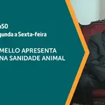 A sanidade animal refere-se à saúde e bem-estar dos animais | Foto: Divulgação/Governo de São Paulo