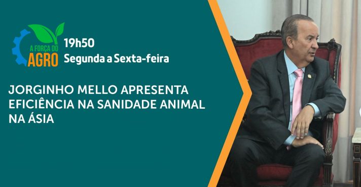 A sanidade animal refere-se à saúde e bem-estar dos animais | Foto: Divulgação/Governo de São Paulo