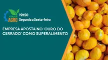 A Força do Agro é transmitido de segunda a sexta, das 19h50 às 20h30 | Foto: Divulgação/Oeste