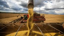 Seguro rural - Agronegócio brasileiro: quase um terço da economia | Foto: CNA/Wenderson Araujo/Trilux