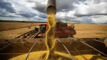 Seguro rural - Agronegócio brasileiro: quase um terço da economia | Foto: CNA/Wenderson Araujo/Trilux