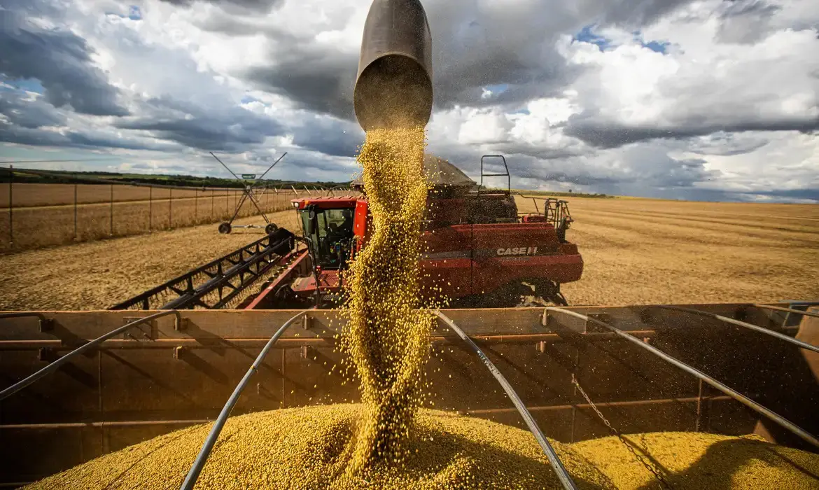 Seguro rural - Agronegócio brasileiro: quase um terço da economia | Foto: CNA/Wenderson Araujo/Trilux