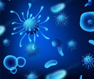 A Escherichia coli, conhecida como E. coli, é uma bactéria que vive normalmente no intestino de humanos e animais | Foto: Reprodução/Freepik