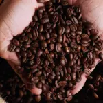 Desde março, a inflação do café tem desacelerado mês a mês | Foto: Pressfoto/Freepik