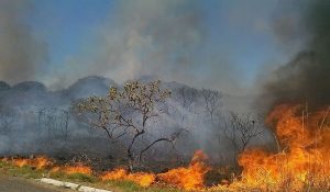 Foco de incêndio em bioma brasileiro