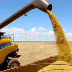 A soja é o destaque das colheitas, seguida do milho e arroz | Foto: Jaelson Lucas/AEN-PR