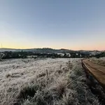 Urupema