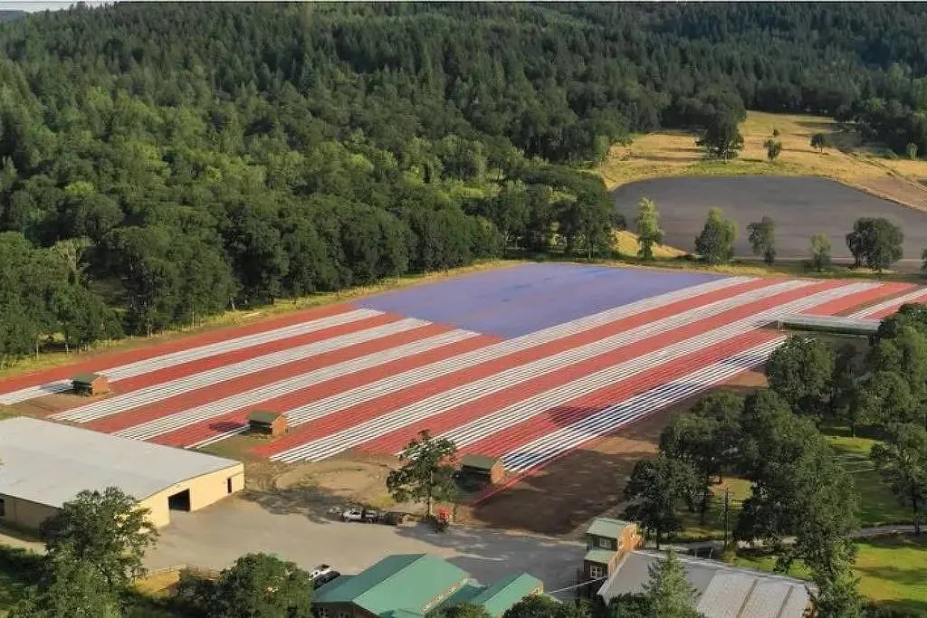 Vista aérea de plantação da USA Hemp em Óregon, nos Estados Unidos, coberta com plástico para preservação | Foto: Divulgação/USA Hemp