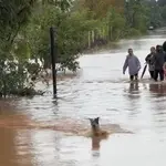 Santa Cruz do Sul (RS) volta a sofrer com enchentes; pessoas e animais são levados para abrigo
