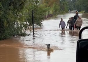 Santa Cruz do Sul (RS) volta a sofrer com enchentes; pessoas e animais são levados para abrigo