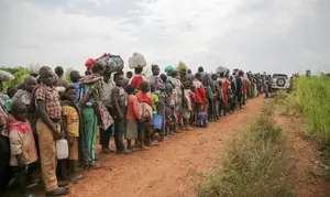 deslocamento forçado guerra refugiados perseguição fuga