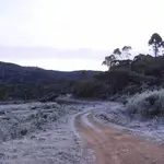geada alerta laranja perigo Sul frio