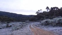 geada alerta laranja perigo Sul frio