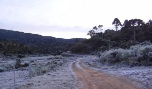 geada alerta laranja perigo Sul frio