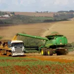 safra 2024/2025 colheita sosa milho algodão arroz feijão soja