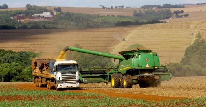 safra 2024/2025 colheita sosa milho algodão arroz feijão soja