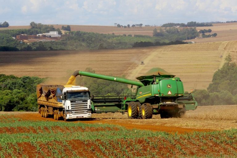 safra 2024/2025 colheita sosa milho algodão arroz feijão soja